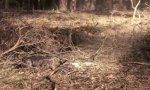 In jedem steckt ein Feuerwehrmann