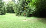 Sauberer Shot beim Disc Golf