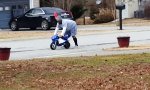 Funny Video - They see me Rollin...