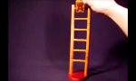 Funny Video : Geschmeidig die Treppe runter