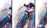 Funny Video : Piranhas fischen auf einfache Art und Weise