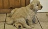 Fun Pic - Donnerstags Fun PicDump #17 - 75