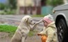 Fun Pic - Donnerstags Fun PicDump #36 - 37