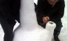 Fun Pic - Donnerstags Fun PicDump #36 - 81
