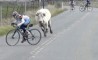 Fun Pic - Donnerstags Fun PicDump #57 - 10