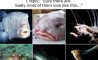 Fun Pic - Donnerstags Fun PicDump #63 - 131