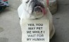 Fun Pic - Donnerstags Fun PicDump #65 - 11