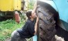 Fun Pic - Donnerstags Fun PicDump #70 - 87