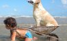 Fun Pic - Donnerstags Fun PicDump #93 - 79