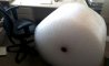 Fun Pic - Donnerstags Fun PicDump #94 - 103