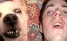 Fun Pic - Donnerstags Fun PicDump #96 - 12
