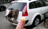 Fun Pic - Donnerstags Fun PicDump #96 - 40
