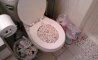 Fun Pic - Donnerstags Fun PicDump #103 - 91