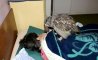 Fun Pic - Donnerstags Fun PicDump #104 - 29