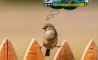 Fun Pic - Donnerstags Fun PicDump #104 - 37