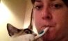 Fun Pic - Donnerstags Fun PicDump #107 - 24