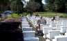 Fun Pic - Donnerstags Fun PicDump #107 - 6