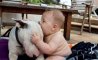 Fun Pic - Donnerstags Fun PicDump #110 - 17