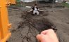 Fun Pic - Donnerstags Fun PicDump #110 - 61