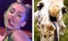 Fun Pic - Donnerstags Fun PicDump #112 - 84