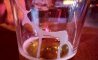 Fun Pic - Donnerstags Fun PicDump #114 - 32
