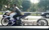 Fun Pic - Donnerstags Fun PicDump #114 - 72