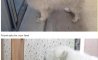 Fun Pic - Donnerstags Fun PicDump #119 - 83