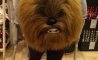 Fun Pic - Donnerstags Fun PicDump #128 - 61