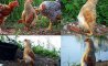 Fun Pic - Donnerstags Fun PicDump #128 - 92