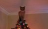 Fun Pic - Donnerstags Fun PicDump #129 - 139