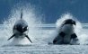 Fun Pic - Donnerstags Fun PicDump #131 - 106