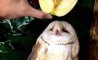 Fun Pic - Donnerstags Fun PicDump #131 - 114