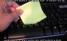 Fun Pic - Donnerstags Fun PicDump #131 - 22