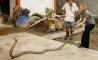 Fun Pic - Donnerstags Fun PicDump #131 - 78