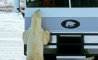 Fun Pic - Donnerstags Fun PicDump #134 - 171