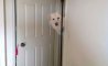 Fun Pic - Donnerstags Fun PicDump #149 - 113