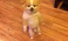 Fun Pic - Donnerstags Fun PicDump #149 - 117