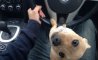 Fun Pic - Donnerstags Fun PicDump #149 - 125