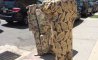 Fun Pic - Donnerstags Fun PicDump #149 - 45