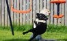 Fun Pic - Donnerstags Fun PicDump #151 - 31