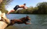 Fun Pic - Donnerstags Fun PicDump #151 - 83