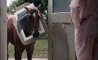 Fun Pic - Donnerstags Fun PicDump #151 - 95