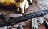 Fun Pic - Donnerstags Fun PicDump #152 - 161