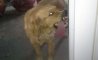 Fun Pic - Donnerstags Fun PicDump #154 - 126