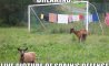 Fun Pic - Donnerstags Fun PicDump #154 - 30