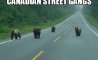 Fun Pic - Donnerstags Fun PicDump #154 - 38
