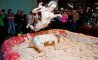 Fun Pic - Donnerstags Fun PicDump #154 - 6
