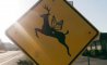 Fun Pic - Donnerstags Fun PicDump #155 - 26