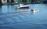 Fun Pic - Donnerstags Fun PicDump #155 - 42
