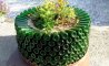 Fun Pic - Donnerstags Fun PicDump #156 - 20